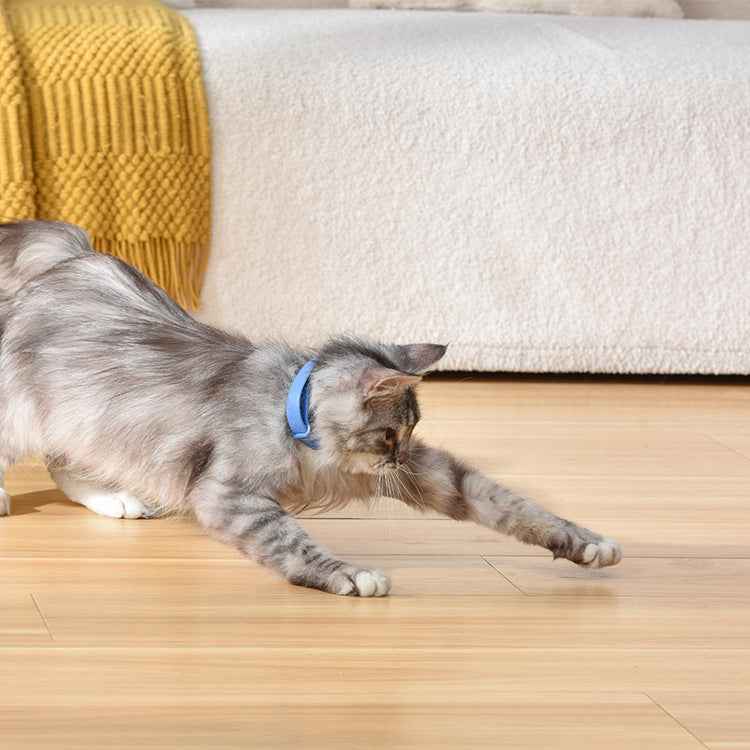 Wearable cat collar laser toy with red light interactive rechargeable
