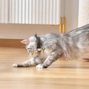 Wearable cat collar laser toy with red light interactive rechargeable