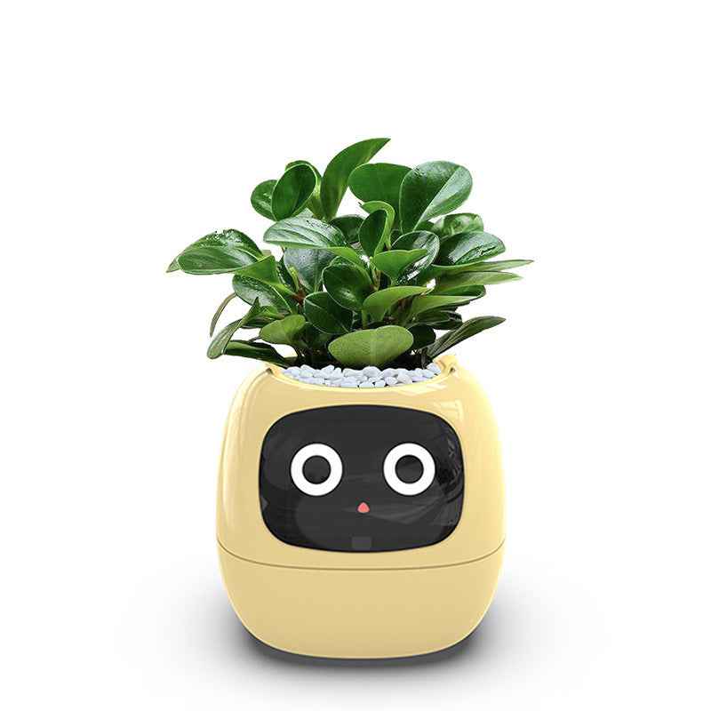 Intelligent automatic water absorbing flowerpot