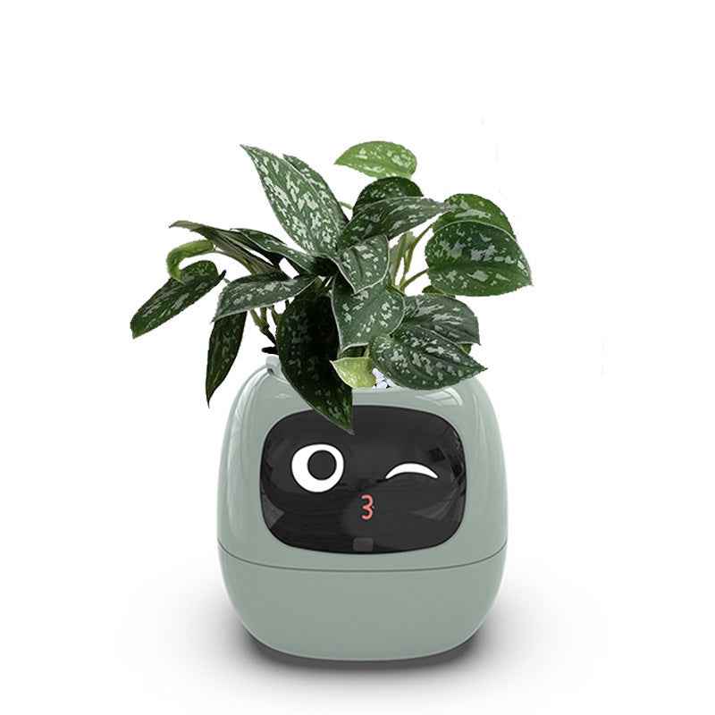 Intelligent automatic water absorbing flowerpot