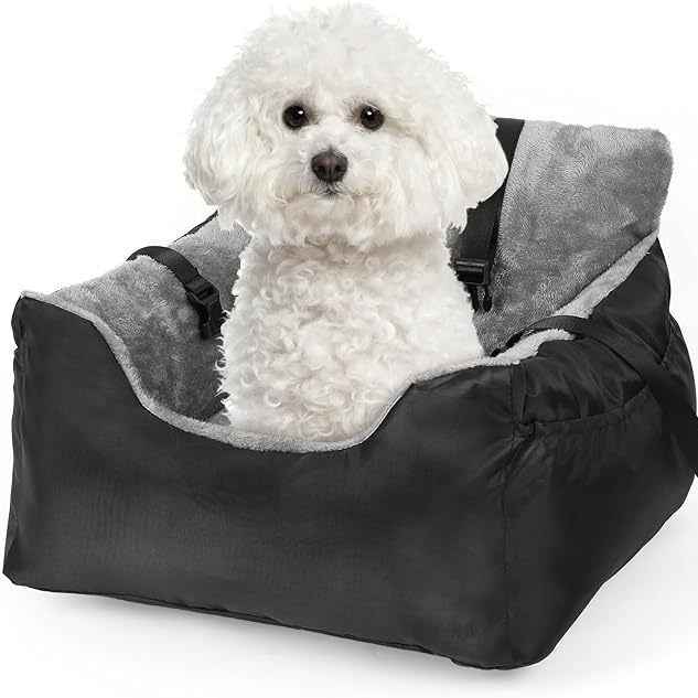 car pet bed