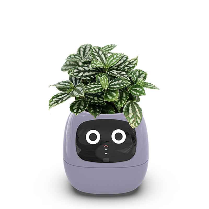 Intelligent automatic water absorbing flowerpot